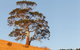 2 Dukes Daylesford - thumb 5