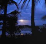 Sejala Beach Huts - Timeshare Accommodation