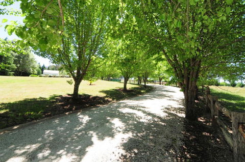 Daisy Cottage - Timeshare Accommodation 7