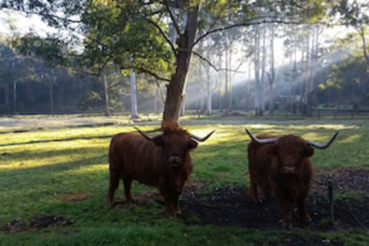 Glenhaven NSW Timeshare Accommodation