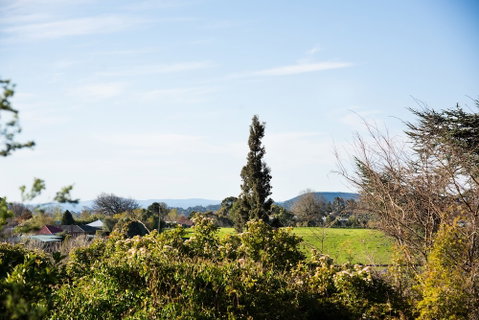 Botanica - Timeshare Accommodation 0