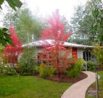 Dalrymples Guest Cottages - Timeshare Accommodation