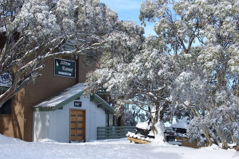 Alpine Retreat Mt Buller - Timeshare Accommodation 1