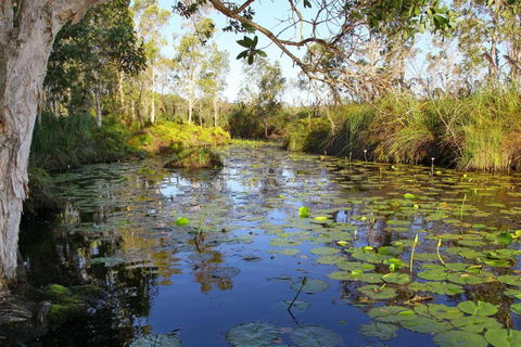 Salamander Bay Bed & Breakfast - Timeshare Accommodation 3