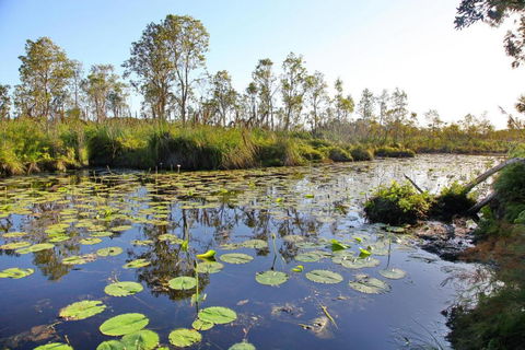 Salamander Bay Bed & Breakfast - Timeshare Accommodation 4