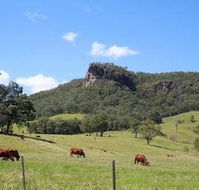 Rosevale House - Timeshare Accommodation