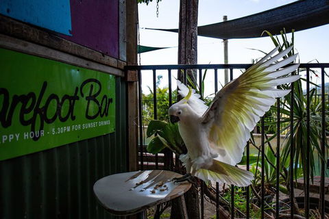 Backpackers By The Bay - Timeshare Accommodation 2