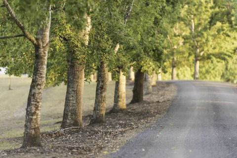 Clarendon Forest Retreat - Timeshare Accommodation 3