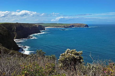 Woodland By The Bay & Puddleduck Cottage - Timeshare Accommodation 5