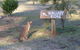 Wallaby Ridge Retreat - thumb 0