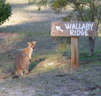 Wallaby Ridge Retreat - Timeshare Accommodation