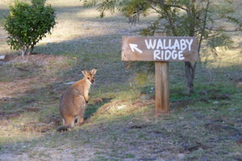 Wallaby Ridge Retreat - Timeshare Accommodation 0
