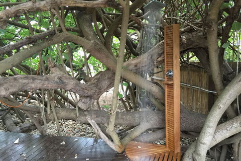 The Beachside Cottages - Timeshare Accommodation 4