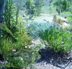 Old Miners Cottages Bed  Breakfast - Timeshare Accommodation