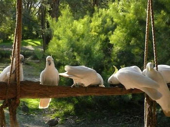 The Burrow At Wombat Bend - Timeshare Accommodation 0