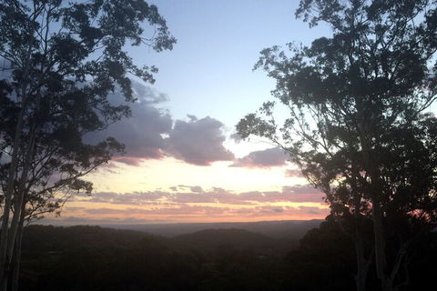 Phoenix Eumundi Bed & Breakfast - Timeshare Accommodation 1