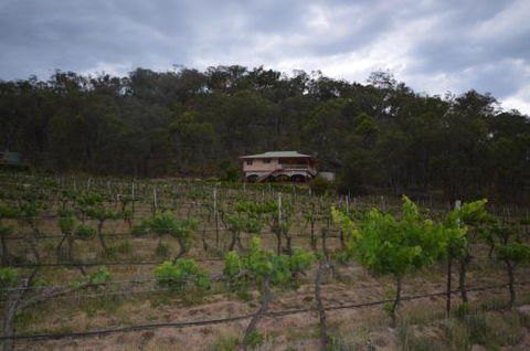Sancerre Estate - Timeshare Accommodation 6