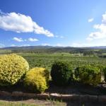 Sancerre Estate - Timeshare Accommodation 0