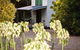 Hillview Farmstay - thumb 1