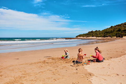 Kennett River Family Caravan Park - Timeshare Accommodation 4