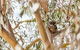 Kennett River Family Caravan Park - thumb 6