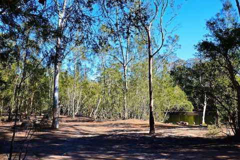 Jervis Bay Cabins & Hidden Creek Campsite - Timeshare Accommodation 1