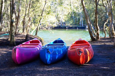 Jervis Bay Cabins & Hidden Creek Campsite - Timeshare Accommodation 0