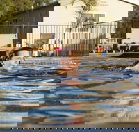 Riverside Cabin Park - Timeshare Accommodation