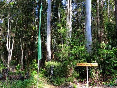 Yarralen Retreat - Timeshare Accommodation 4