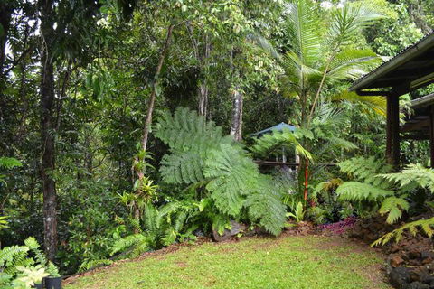Tropical Bliss Bed & Breakfast - Timeshare Accommodation 6