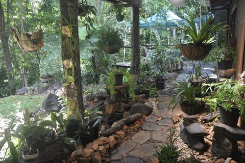 Tropical Bliss Bed & Breakfast - Timeshare Accommodation 2