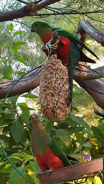 Astley Cottage - Timeshare Accommodation 1