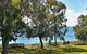 Shelly Beach Motel - thumb 0