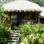 Mango Tourist Hostel - Timeshare Accommodation 0