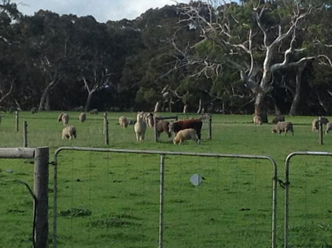 Breakaway Farmstay - Timeshare Accommodation 1
