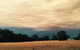 Birchwood Cottage - thumb 2