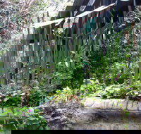 Lemonade Creek Cottages - Timeshare Accommodation