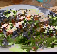 Food for All Seasons - Timeshare Accommodation