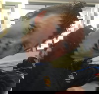 Ming's Chinese Restaurant - Timeshare Accommodation