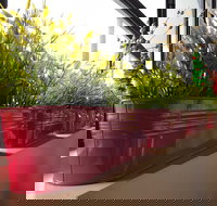 Dinoni - Timeshare Accommodation