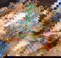 The Shack - Timeshare Accommodation