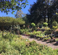 Yatte Yattah Nursery  Cafe