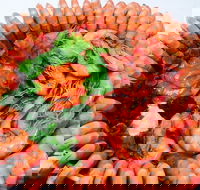 Evans Head Fishermens Co-Op