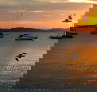 Common Circus - Timeshare Accommodation