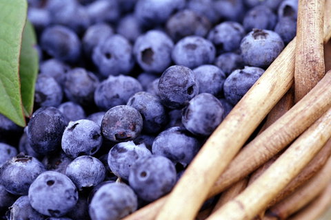 Drum Drum Blueberry Farm - Timeshare Accommodation 0