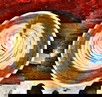 Veneziano Coffee Roasters