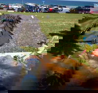 Fish House - Timeshare Accommodation