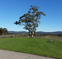 Nepenthe Wines