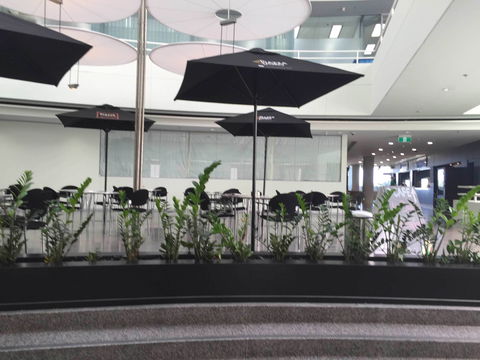 D Cafe - Timeshare Accommodation 0