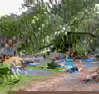 The Pop Inn by Wine Bar Co. - Timeshare Accommodation
